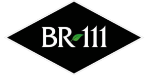 20200910085537-logo-br111